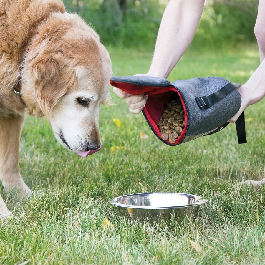 Kong kibble storage bag, , large image number null